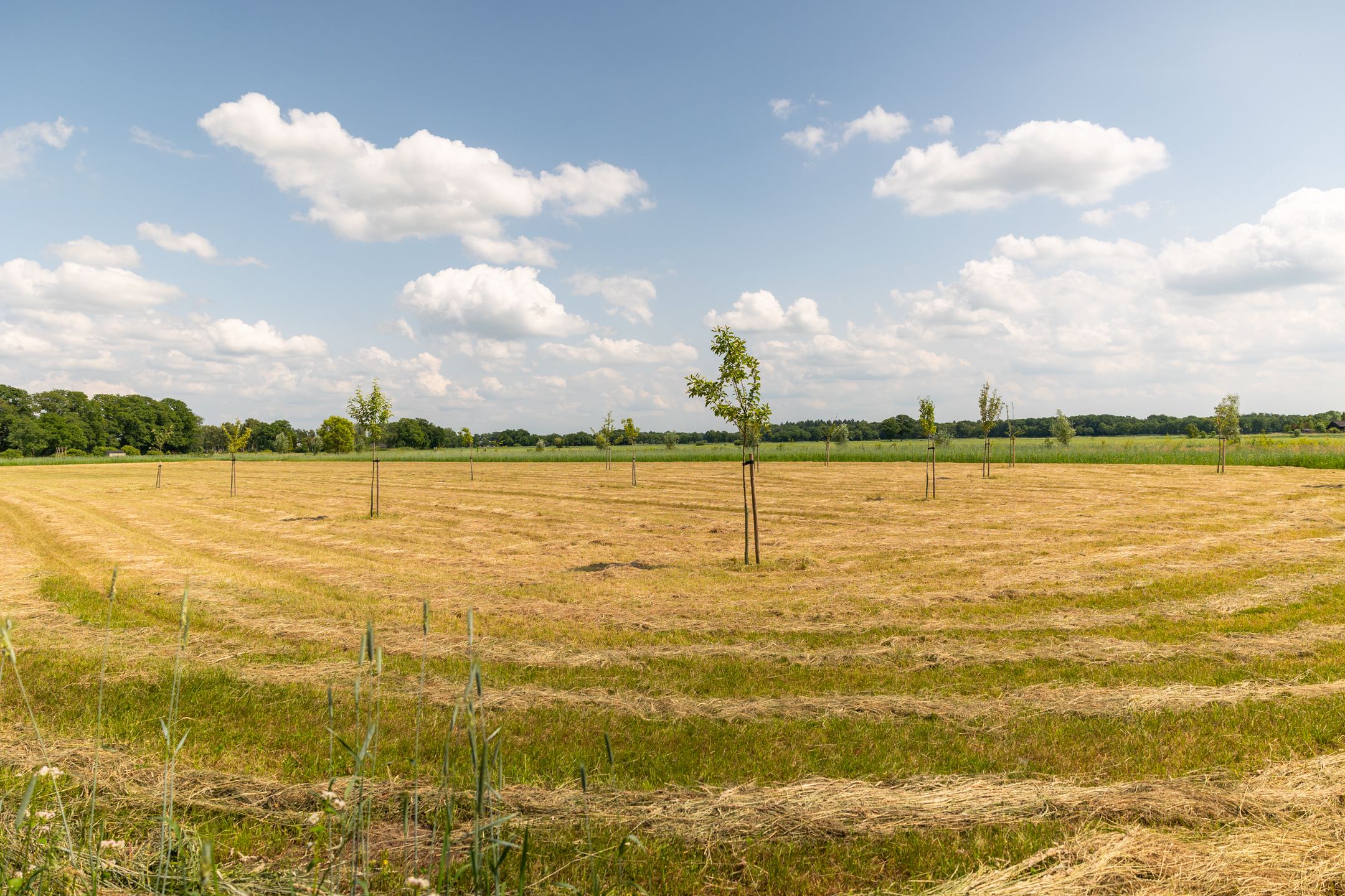 Foto 57 van Ds. E. Kreikenlaan 12