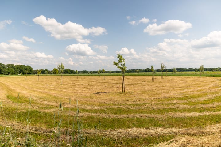 Photo 57 of Ds. E. Kreikenlaan 12