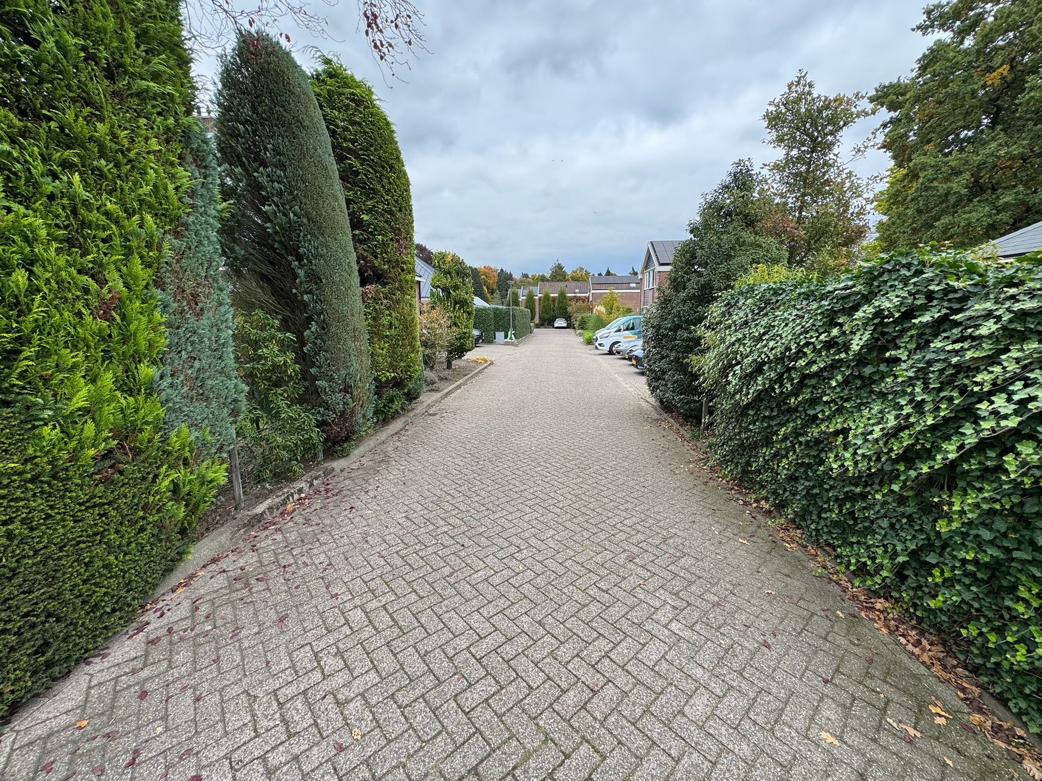 Foto 27 van Nieuwe Es 18