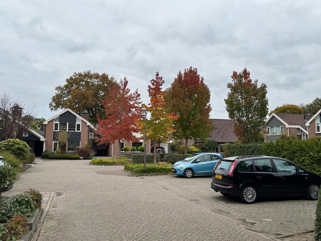 Foto 28 van Nieuwe Es 18