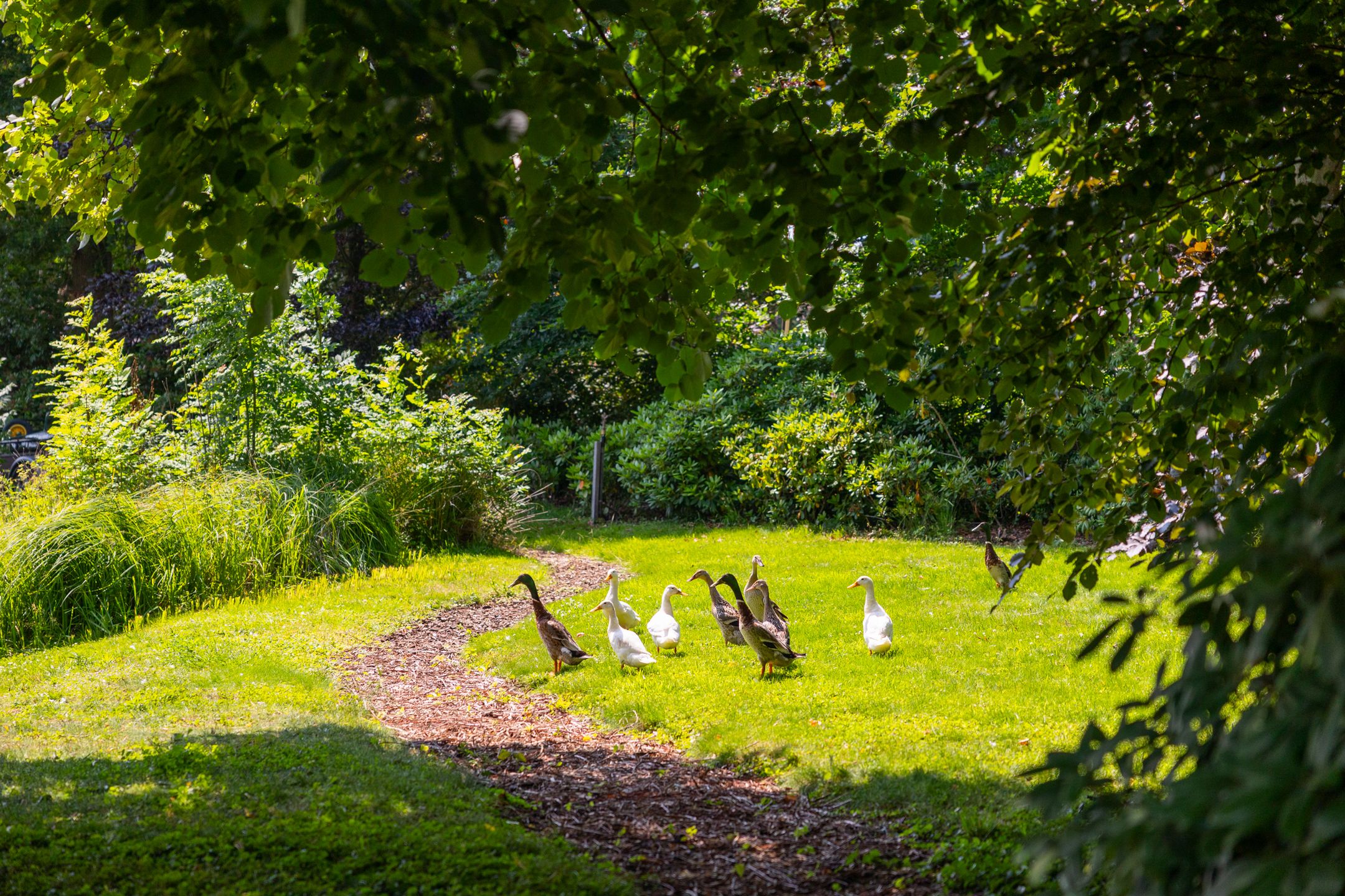 Foto 75 van Ds. E. Kreikenlaan 12