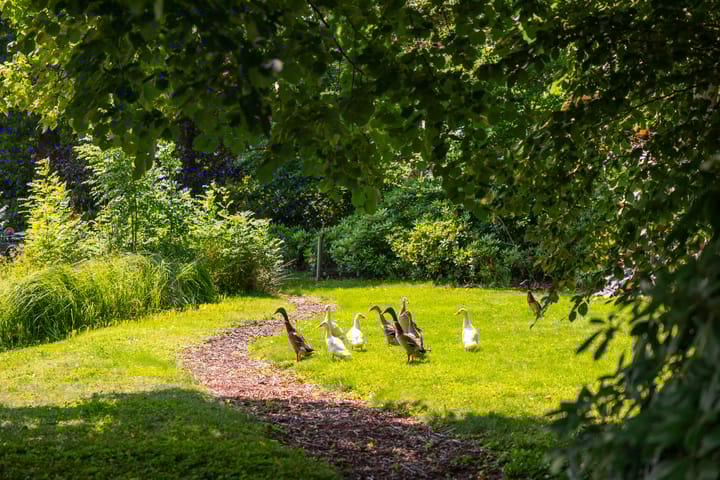 Photo 75 of Ds. E. Kreikenlaan 12