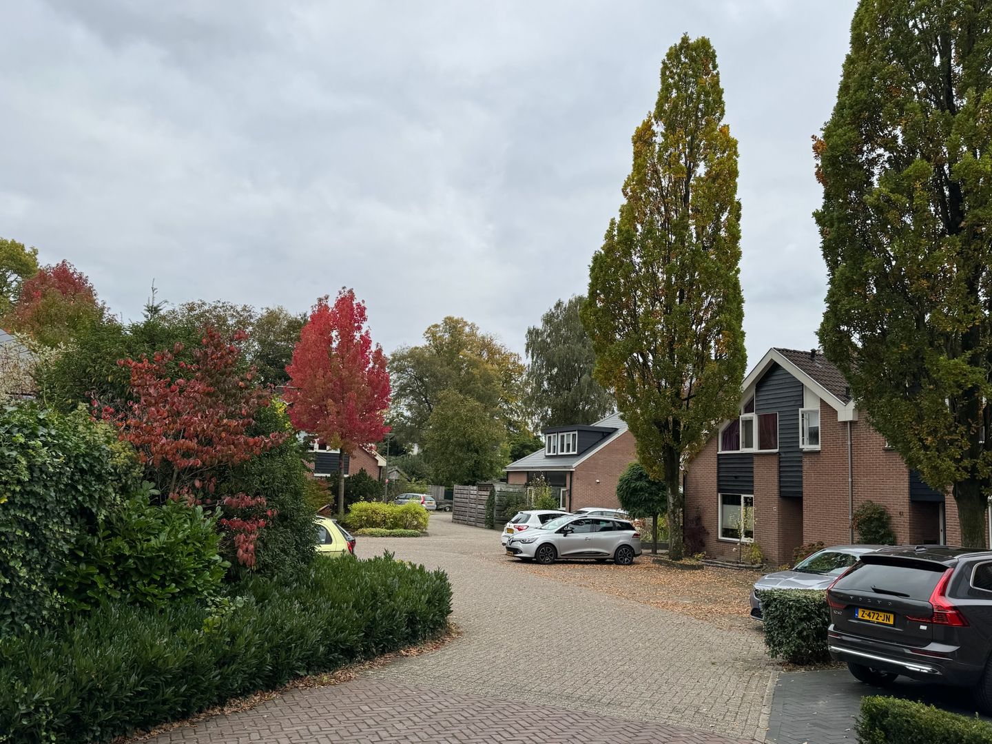 Foto 29 van Nieuwe Es 18