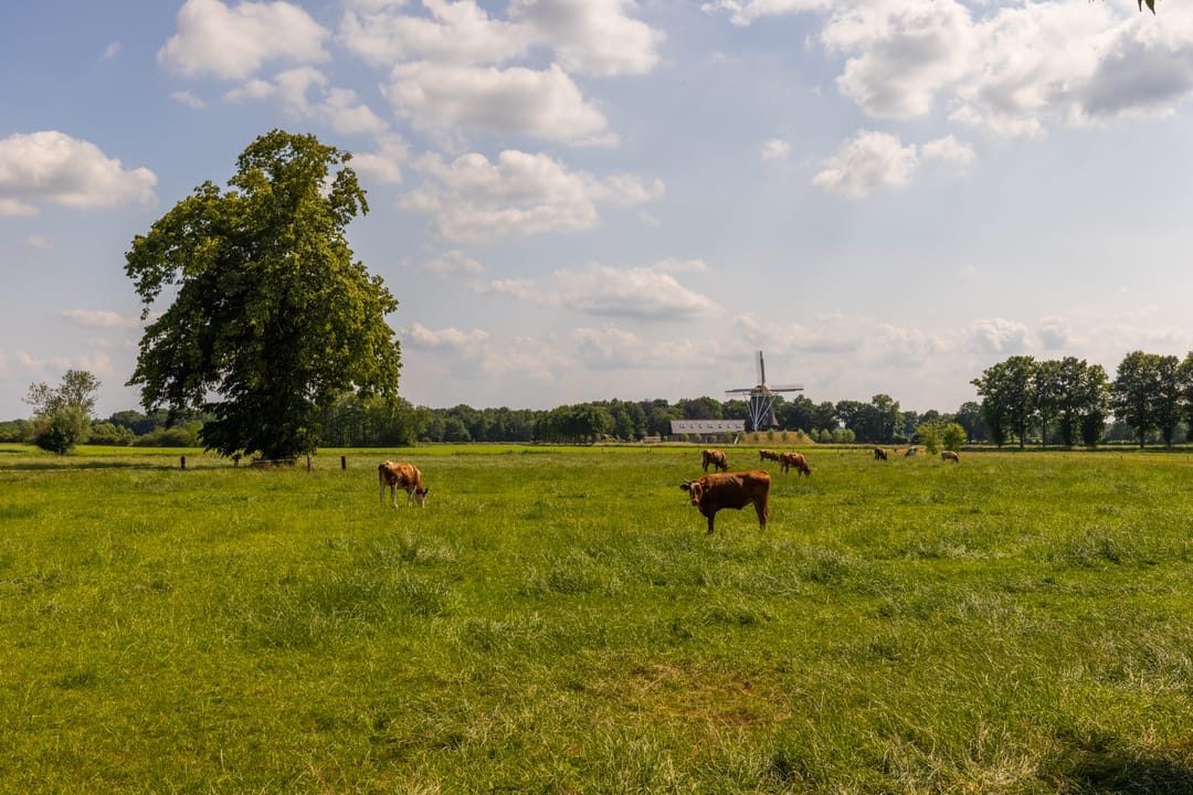 Foto 77 van Ds. E. Kreikenlaan 12