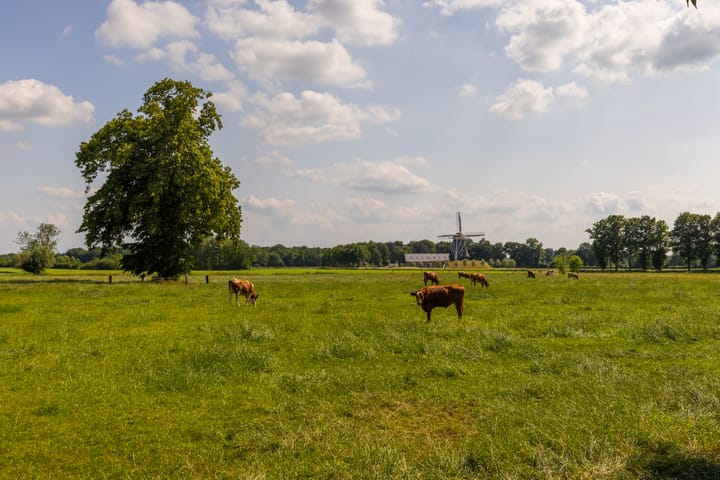 Photo 77 of Ds. E. Kreikenlaan 12