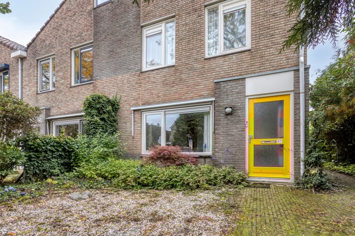 Foto 4 van Golden Delicious 97