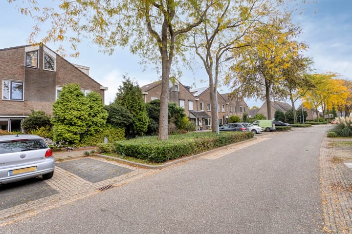 Foto 42 van Golden Delicious 97