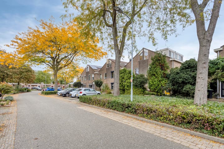 Foto 44 van Golden Delicious 97