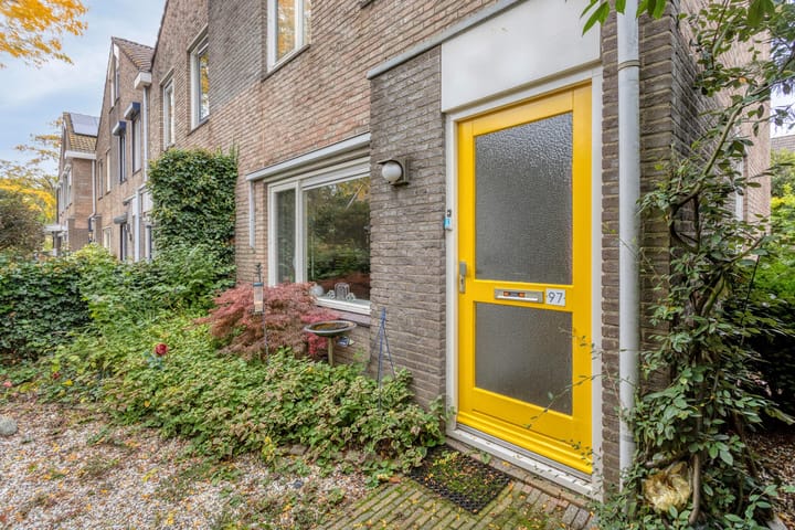 Foto 3 van Golden Delicious 97