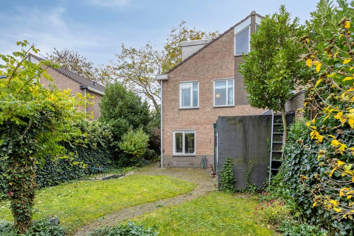 Foto 37 van Golden Delicious 97