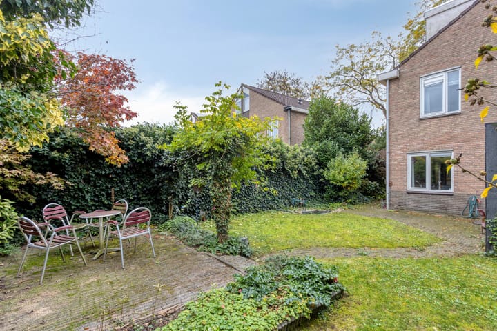 Foto 38 van Golden Delicious 97