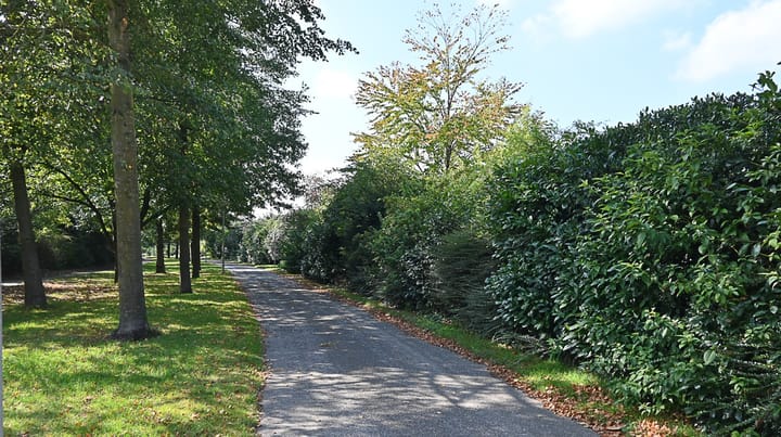 Foto 41 van De Fluite 76