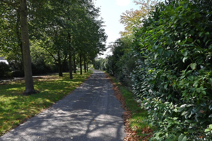 Foto 42 van De Fluite 76