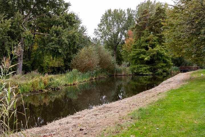 Foto 24 van Tesselschadestraat 40