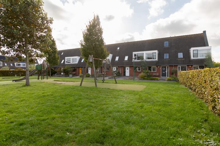 Foto 2 van Zandoogje 4