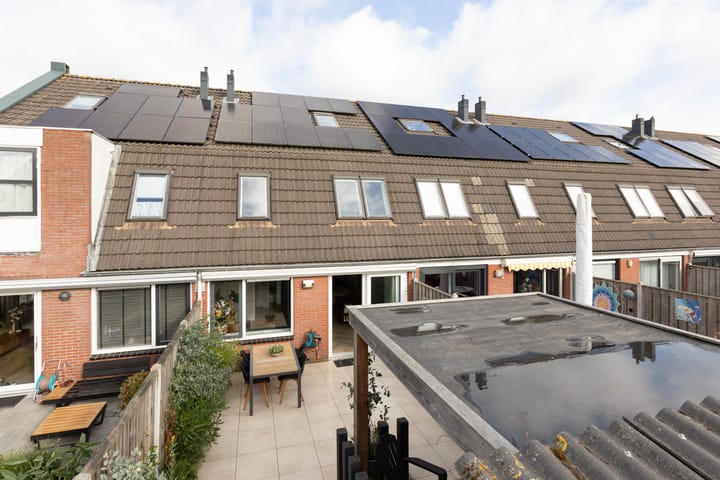 Foto 3 van Zandoogje 4