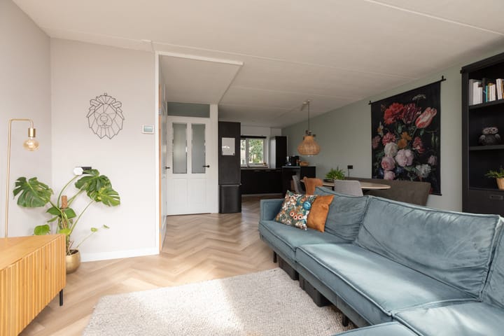 Foto 6 van Zandoogje 4