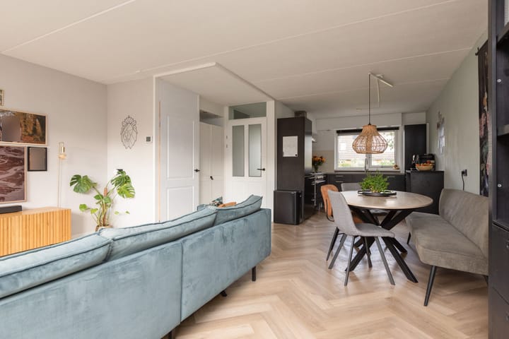 Foto 7 van Zandoogje 4