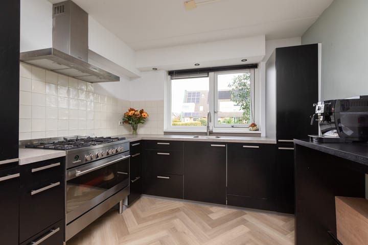 Foto 10 van Zandoogje 4