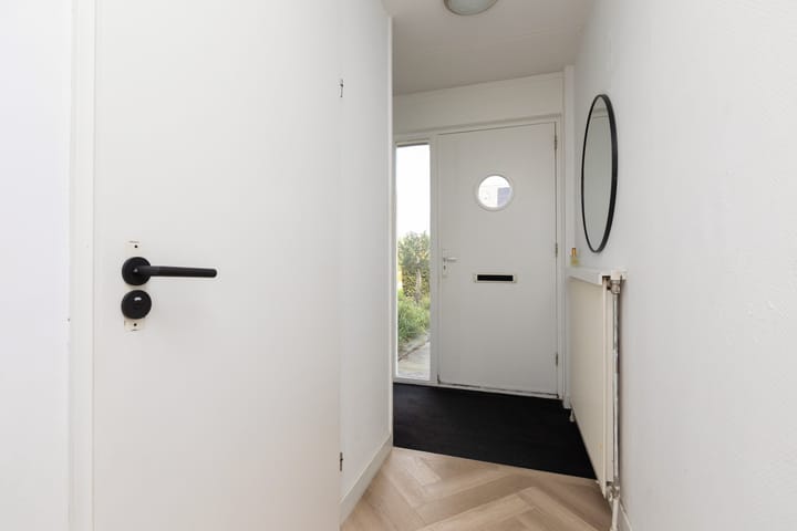 Foto 12 van Zandoogje 4