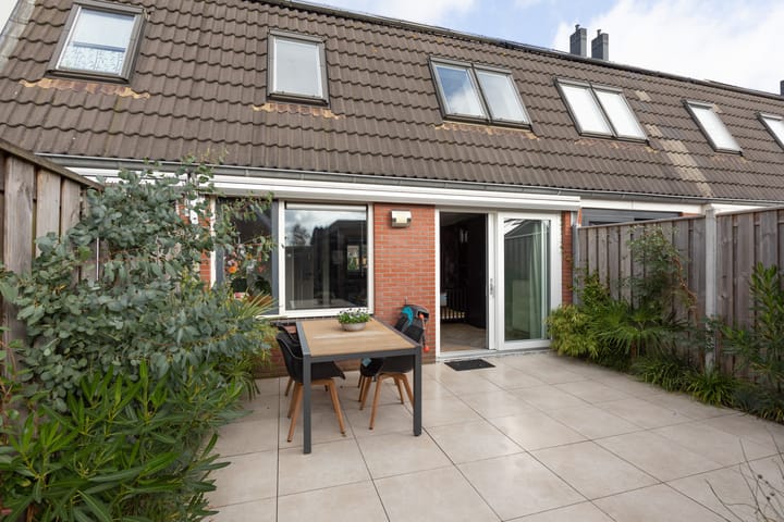 Foto 27 van Zandoogje 4