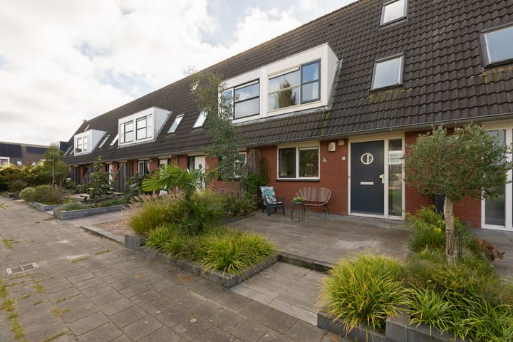 Foto 1 van Zandoogje 4