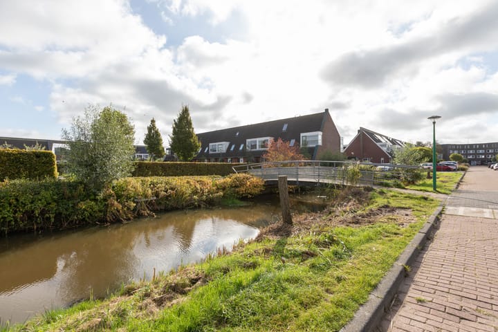 Foto 36 van Zandoogje 4