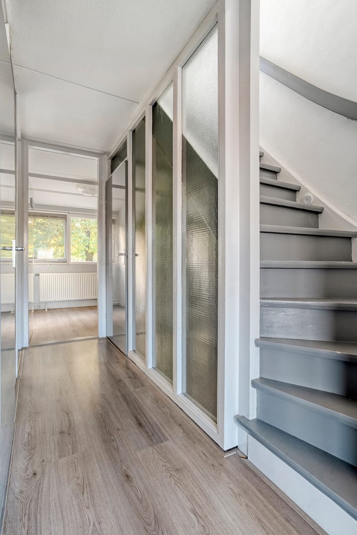 Foto 26 van Ganzenroer 5