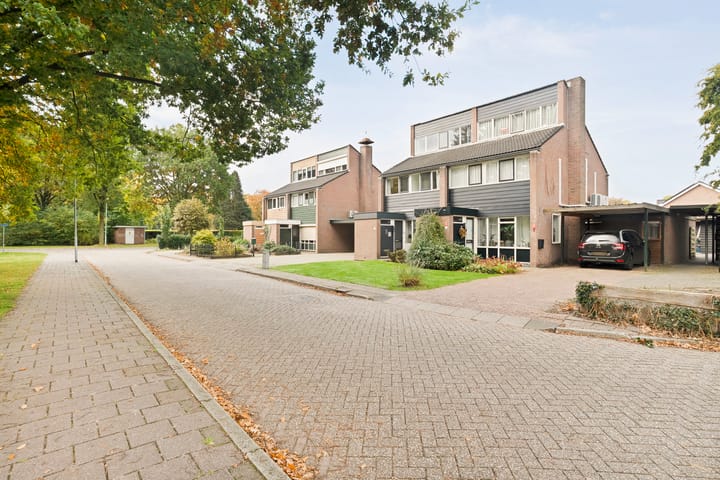 Foto 38 van Ganzenroer 5