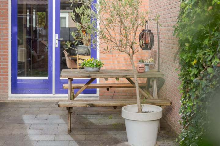 Foto 37 van Mientlân 37