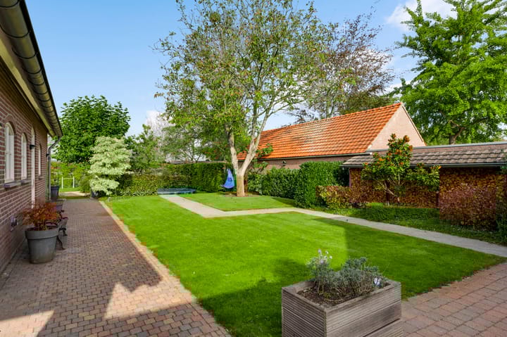 Foto 5 van Langstraat 14