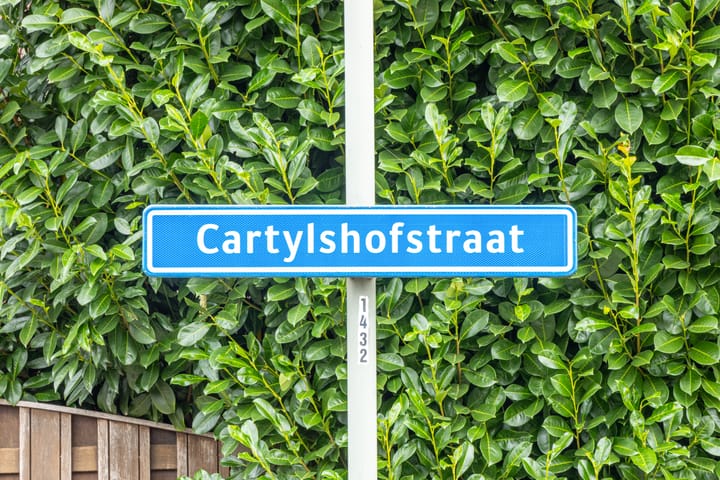 Foto 2 van Cartylshofstraat 19