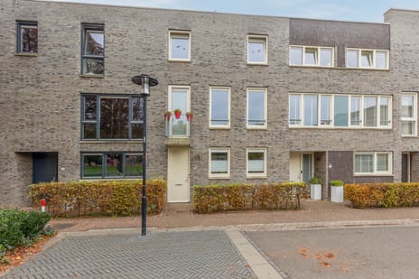 undefined main image