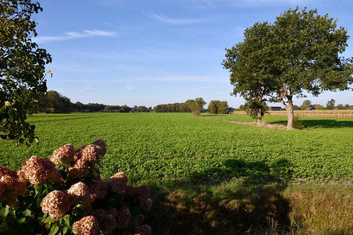 Foto 3 van Heidebindersweg 26