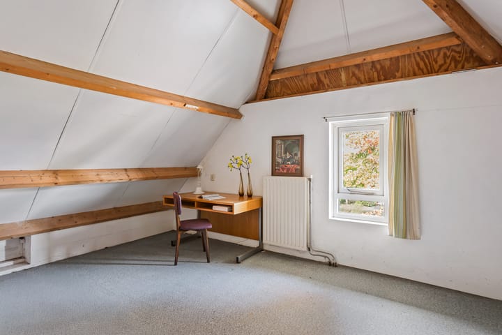 Foto 12 van Anemoon 16