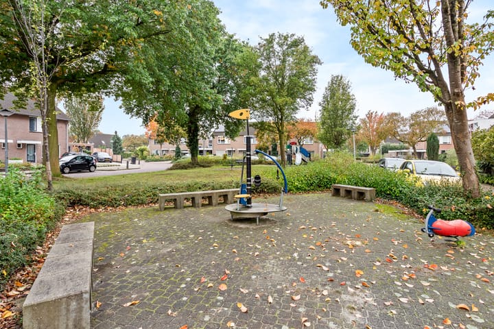 Foto 16 van Anemoon 16