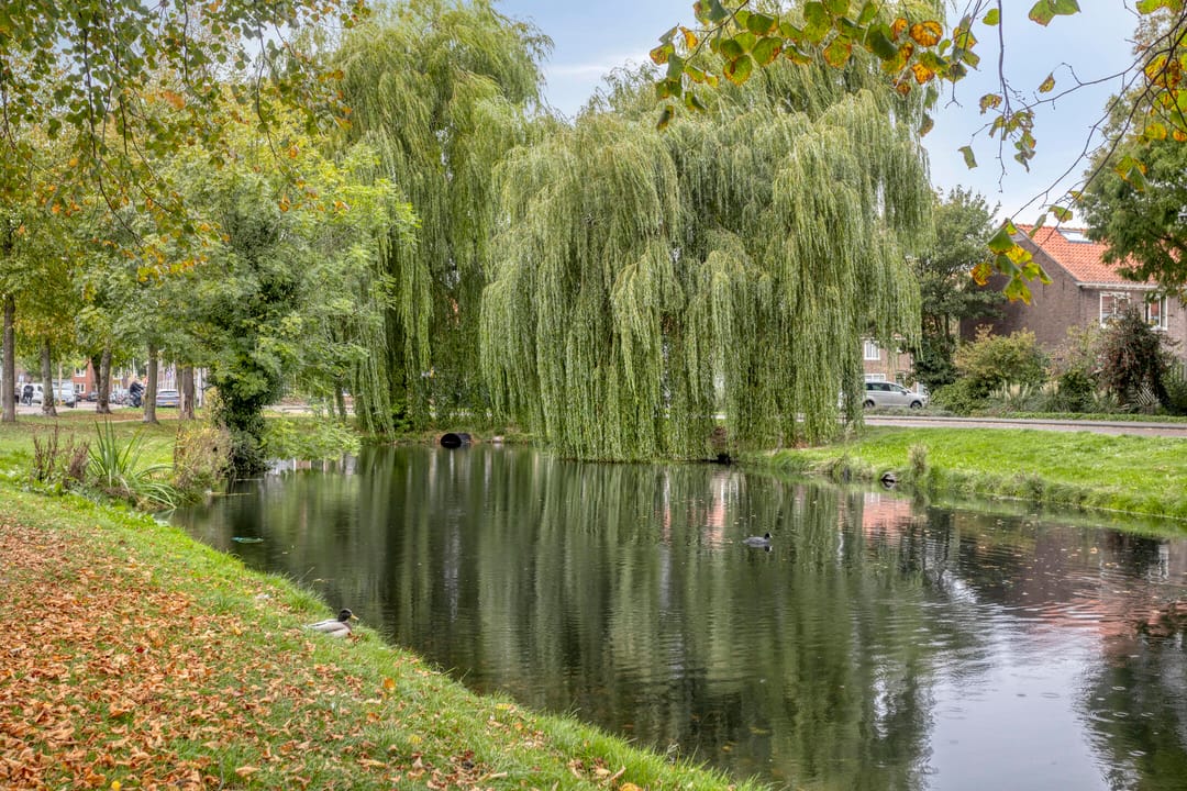 Foto 32 van Anna Paulownastraat 37