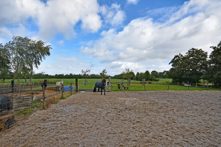 Photo 23 of Blankenstrjitte 36