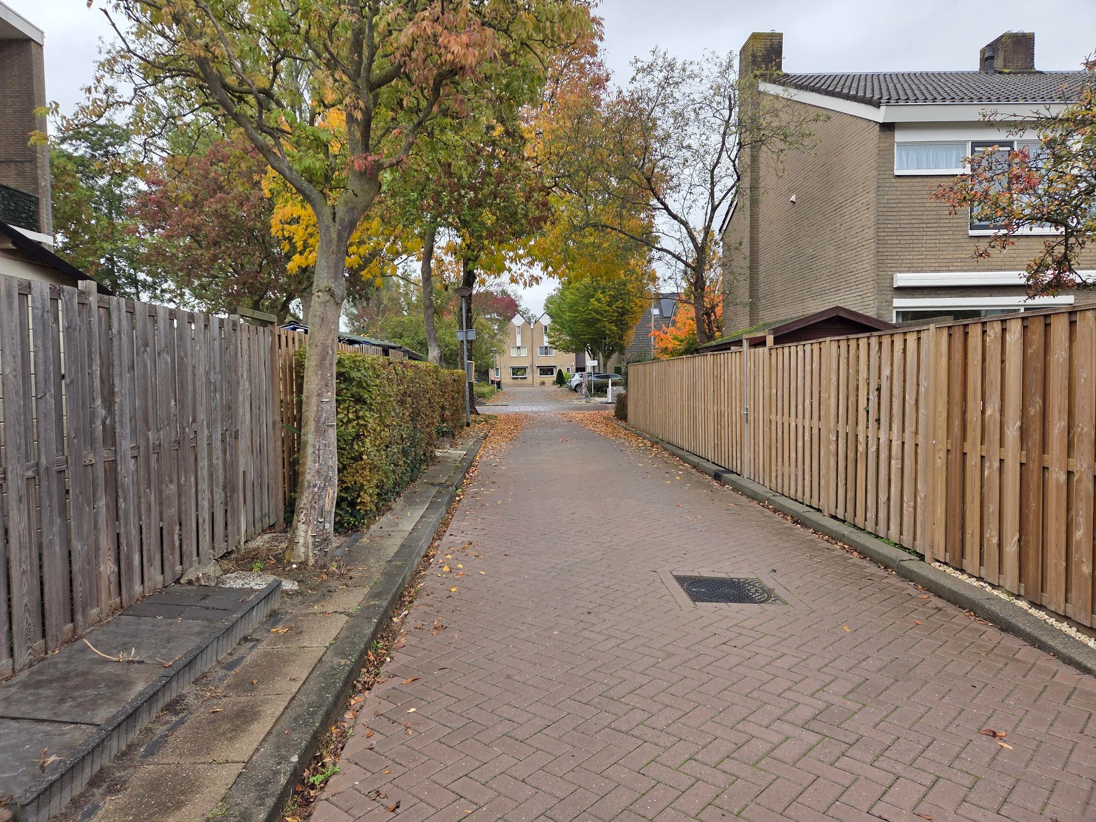 Photo 3 of Schaerlaeckenoord 3