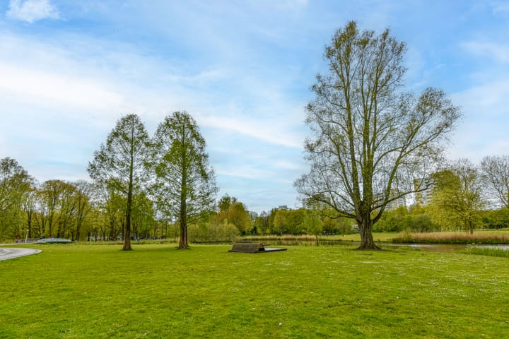 Photo 44 of Orteliusstraat 38-2