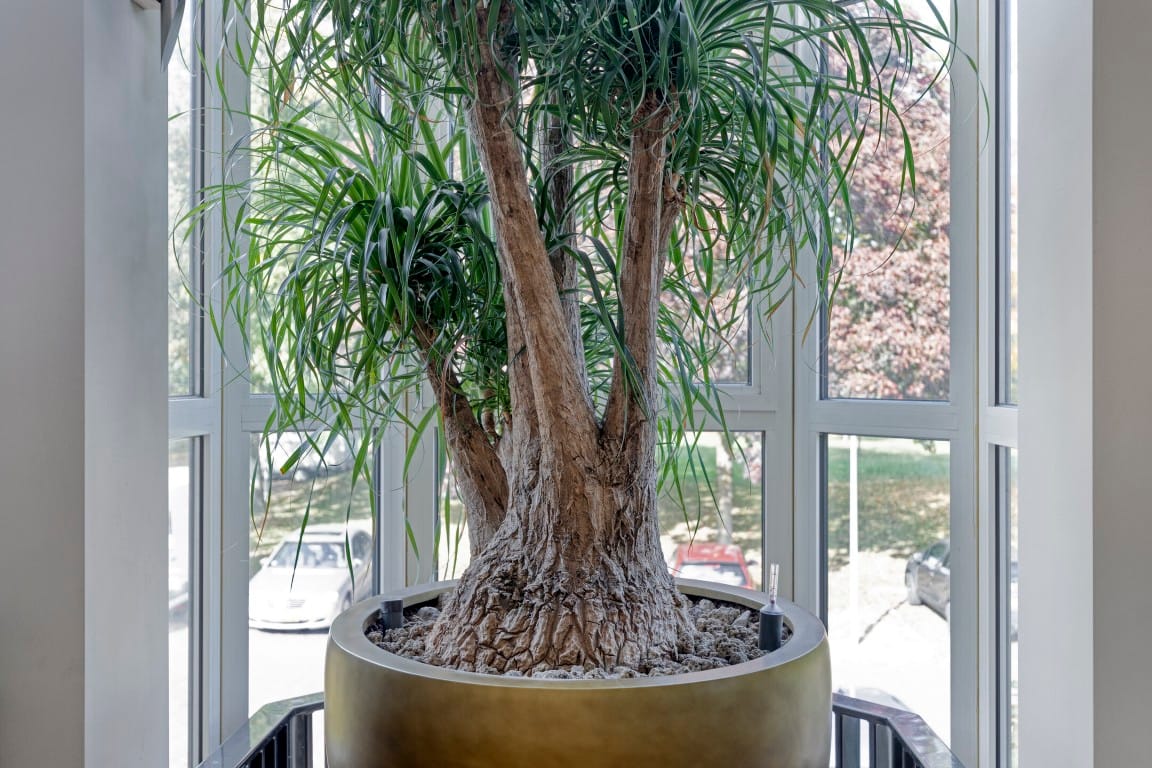 Foto 15 van Rosheuvel 1