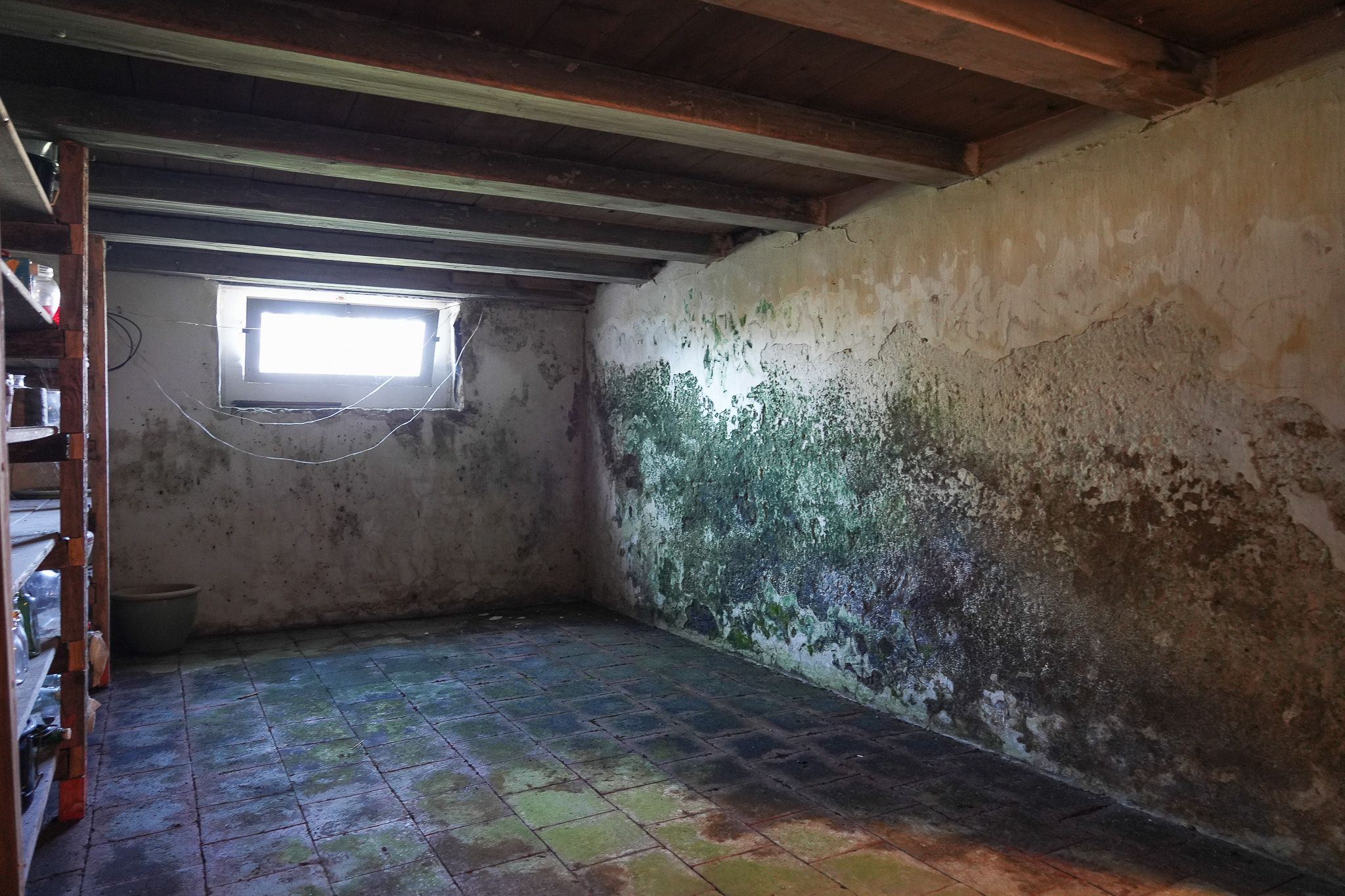 Foto 39 van Vogelenzangseweg 28