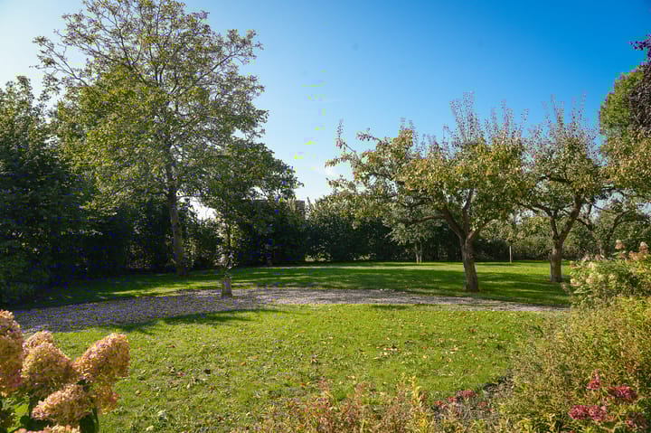 Photo 50 of Vogelenzangseweg 28