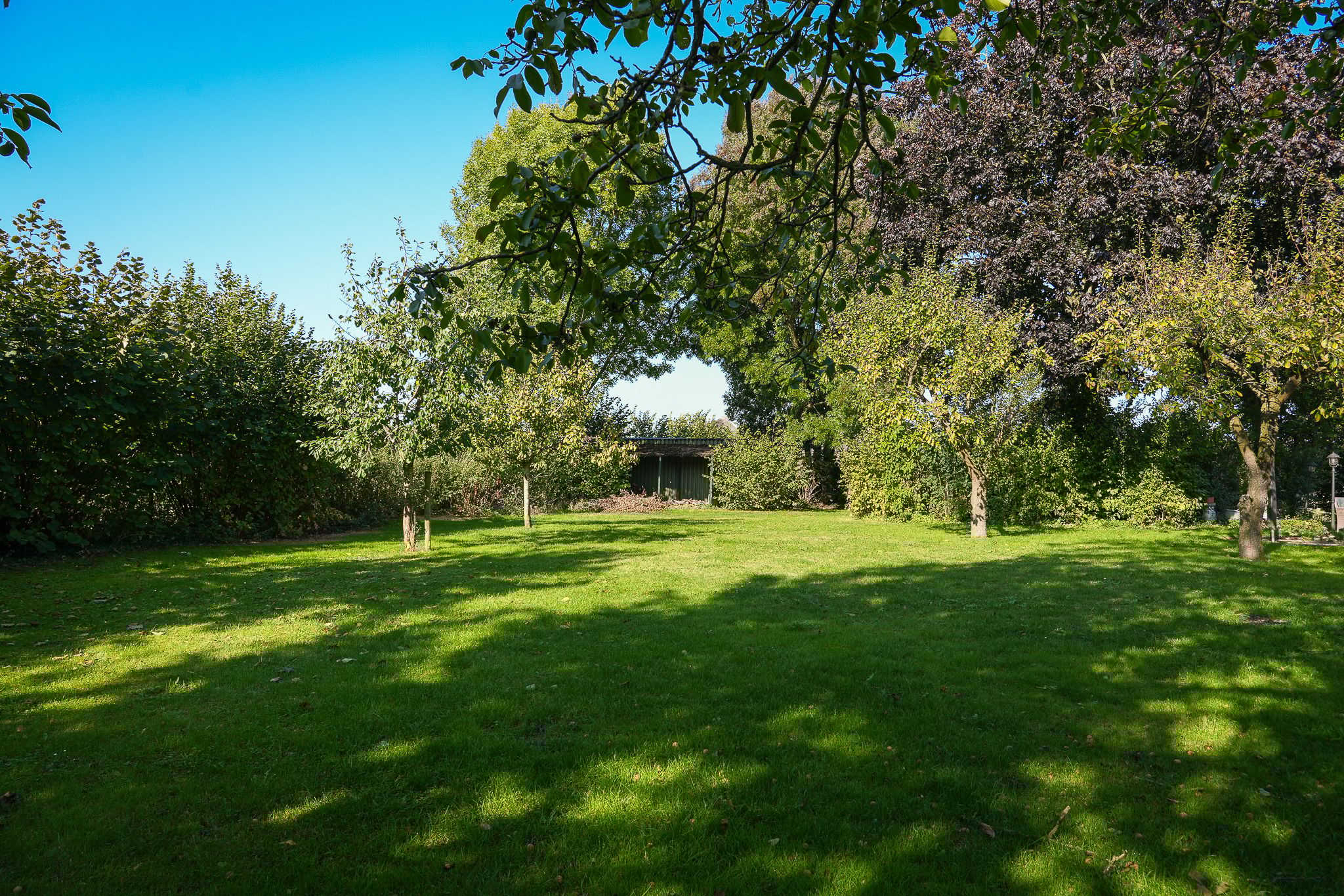 Foto 51 van Vogelenzangseweg 28