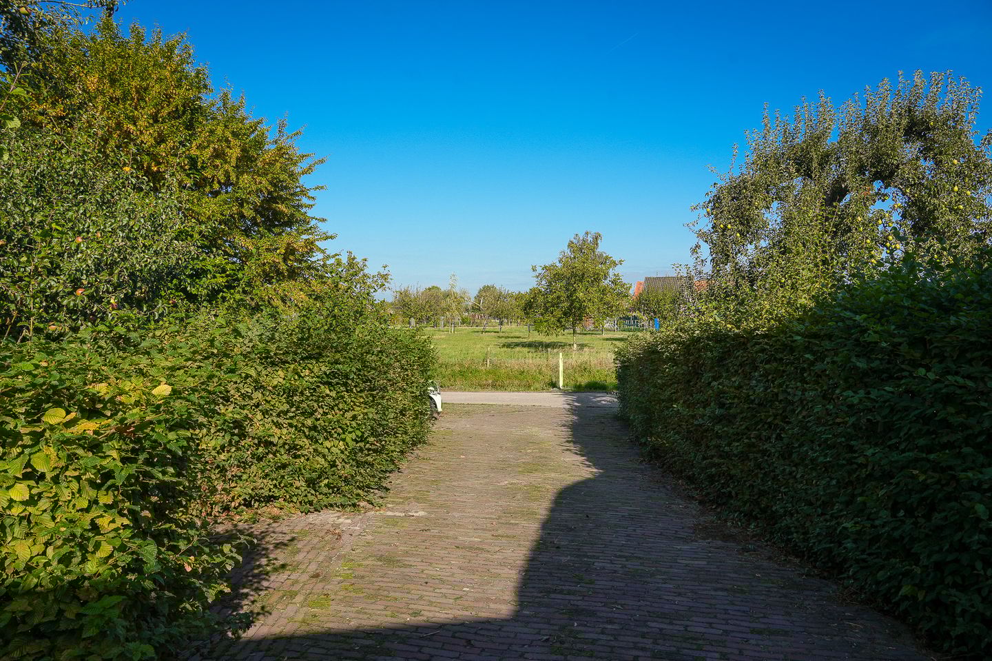 Foto 55 van Vogelenzangseweg 28