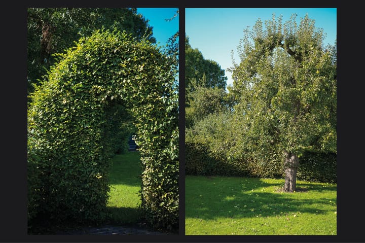 Photo 56 of Vogelenzangseweg 28