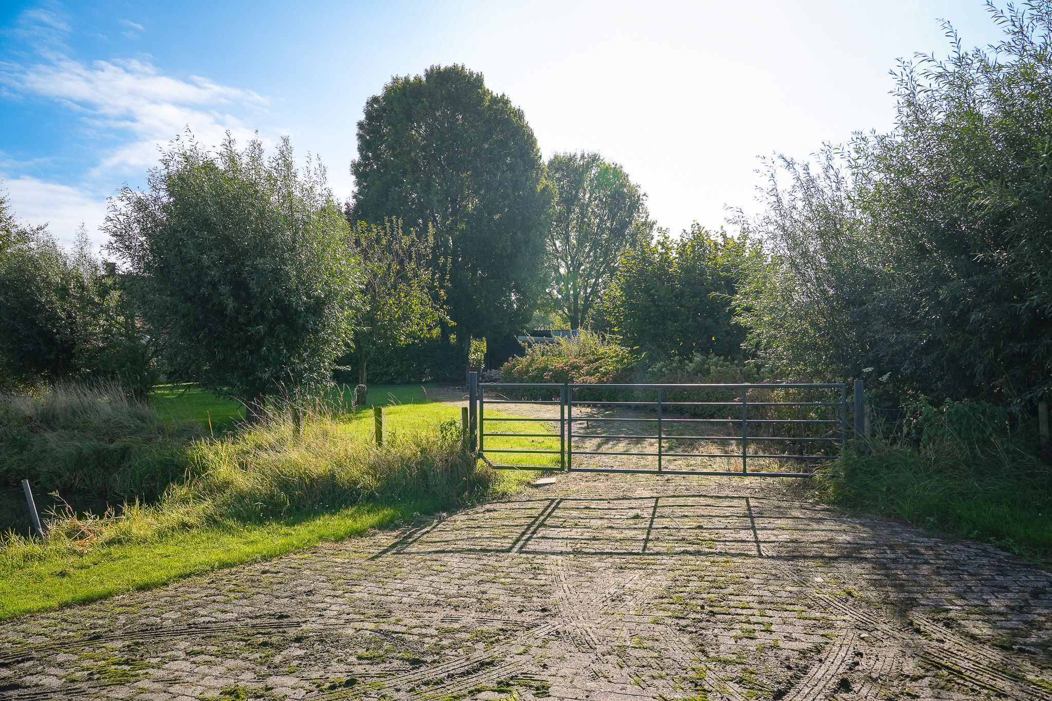 Foto 60 van Vogelenzangseweg 28