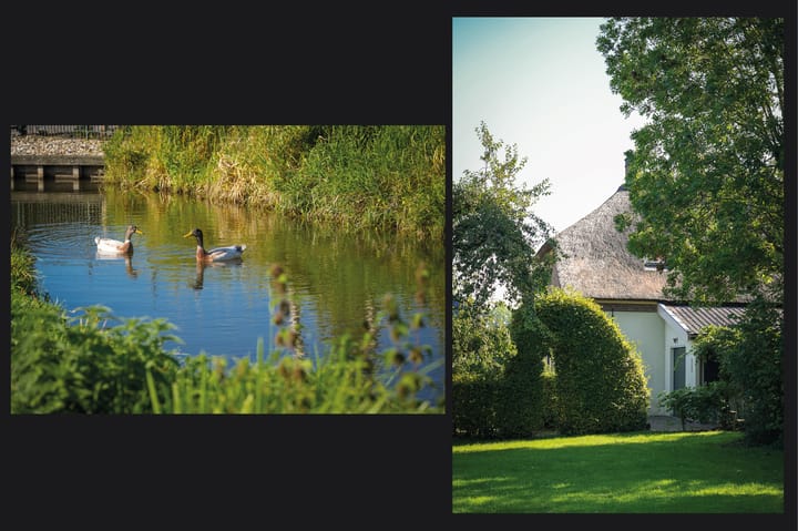 Photo 61 of Vogelenzangseweg 28