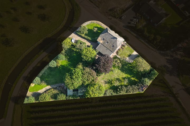 Photo 62 of Vogelenzangseweg 28