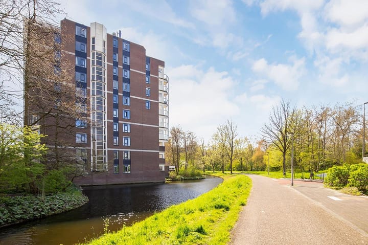 Foto 1 van Logger 146